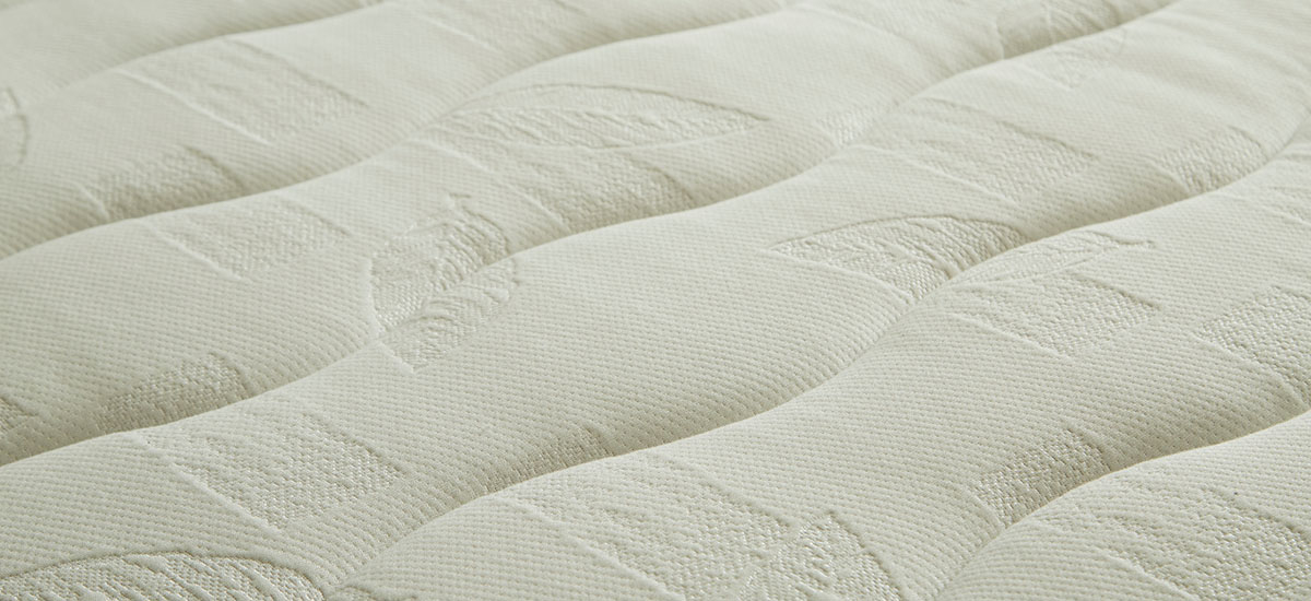 ソフィンモア画像3